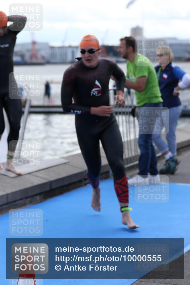 16.08.2026 - KN Förde Triathlon 2026 Antke Förster http://msf.ph/oto/10000555 16.08.2026 14:48:49 Schwimmen 2, 11, 15, 2, 3, 12, 13, 14 meine-sportfotos.de