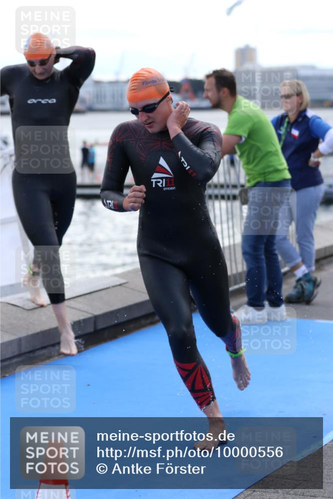 16.08.2026 - KN Förde Triathlon 2026 Antke Förster http://msf.ph/oto/10000556 16.08.2026 14:48:49 Schwimmen 2, 11, 15, 2, 3, 12, 13, 14 meine-sportfotos.de