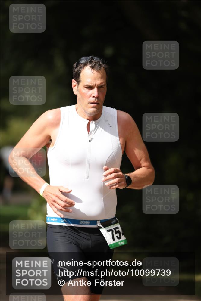 30.08.2026 - Elbe Triathlon Hamburg Antke Förster http://msf.ph/oto/10099739 30.08.2026 10:58:06 Laufen 75 meine-sportfotos.de