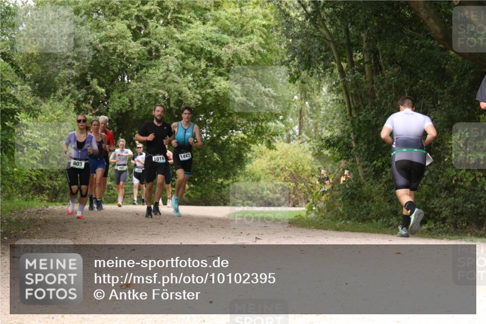 30.08.2026 - Elbe Triathlon Hamburg Antke Förster http://msf.ph/oto/10102395 30.08.2026 11:29:09 Laufen 1016, 1442, 803, 881 meine-sportfotos.de