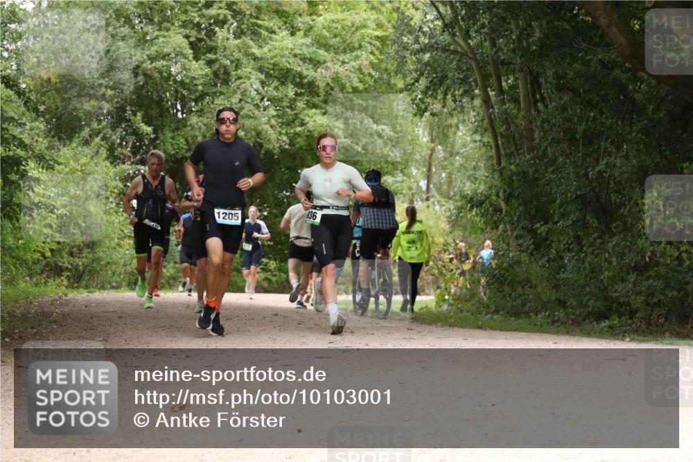 30.08.2026 - Elbe Triathlon Hamburg Antke Förster http://msf.ph/oto/10103001 30.08.2026 11:36:36 Laufen 1205, 336 meine-sportfotos.de