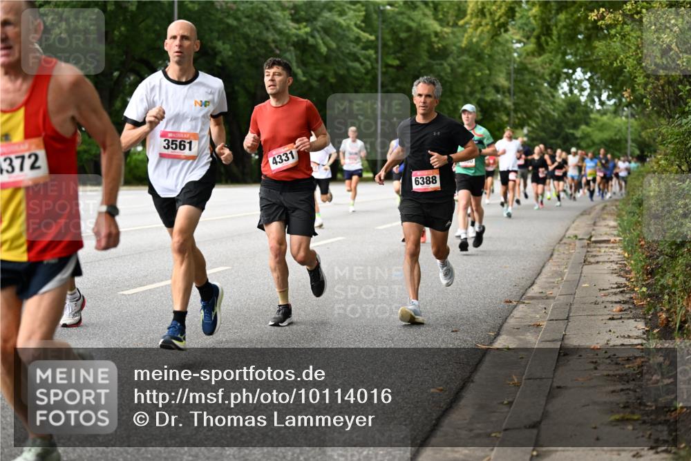 06.09.2026 - CURREX Alsterlauf Dr. Thomas Lammeyer http://msf.ph/oto/10114016 06.09.2026 09:06:35 Laufen 372, 3561, 4331, 6388 meine-sportfotos.de