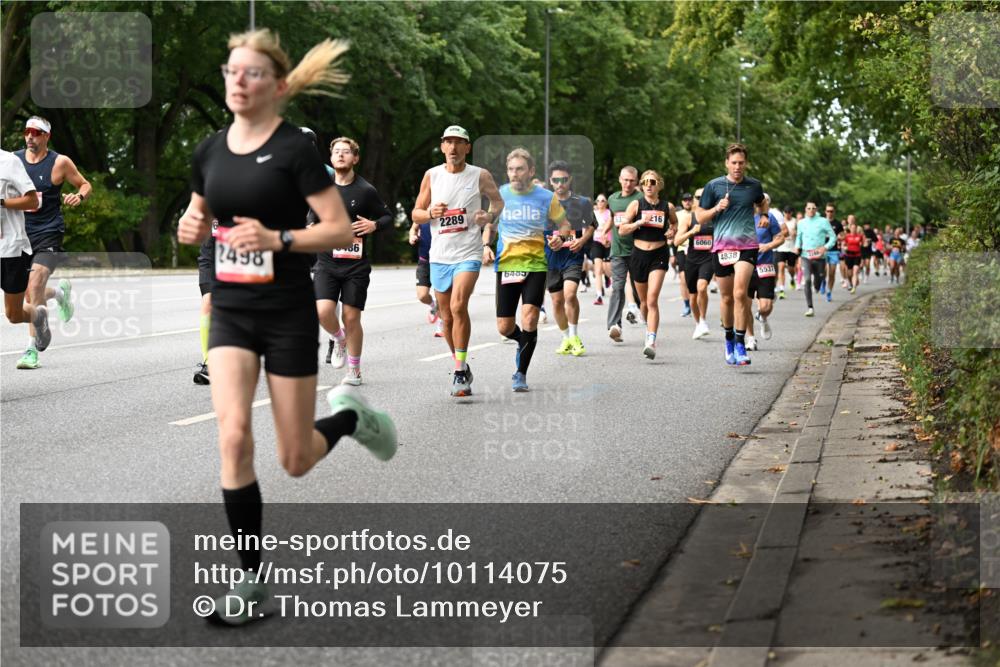 06.09.2026 - CURREX Alsterlauf Dr. Thomas Lammeyer http://msf.ph/oto/10114075 06.09.2026 09:06:44 Laufen 2498, 486, 2289, 216, 6060, 4838, 6485, 5537 meine-sportfotos.de