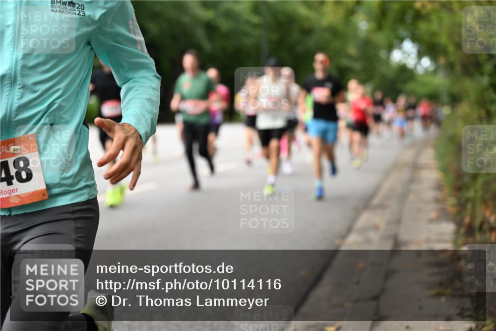 06.09.2026 - CURREX Alsterlauf Dr. Thomas Lammeyer http://msf.ph/oto/10114116 06.09.2026 09:06:50 Laufen 48, 20, 23 meine-sportfotos.de
