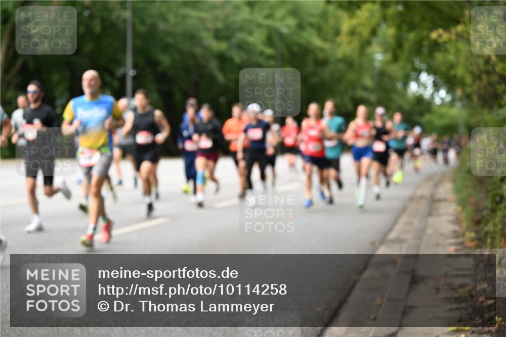 06.09.2026 - CURREX Alsterlauf Dr. Thomas Lammeyer http://msf.ph/oto/10114258 06.09.2026 09:07:13 Laufen  meine-sportfotos.de