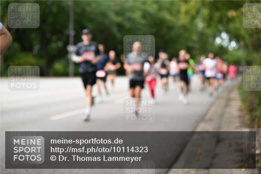 06.09.2026 - CURREX Alsterlauf Dr. Thomas Lammeyer http://msf.ph/oto/10114323 06.09.2026 09:07:22 Laufen  meine-sportfotos.de
