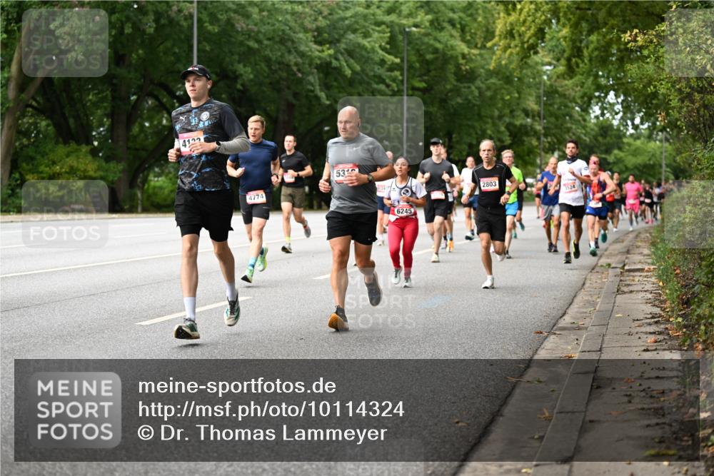 06.09.2026 - CURREX Alsterlauf Dr. Thomas Lammeyer http://msf.ph/oto/10114324 06.09.2026 09:07:23 Laufen 4122, 4774, 531, 6245, 2803, 524 meine-sportfotos.de