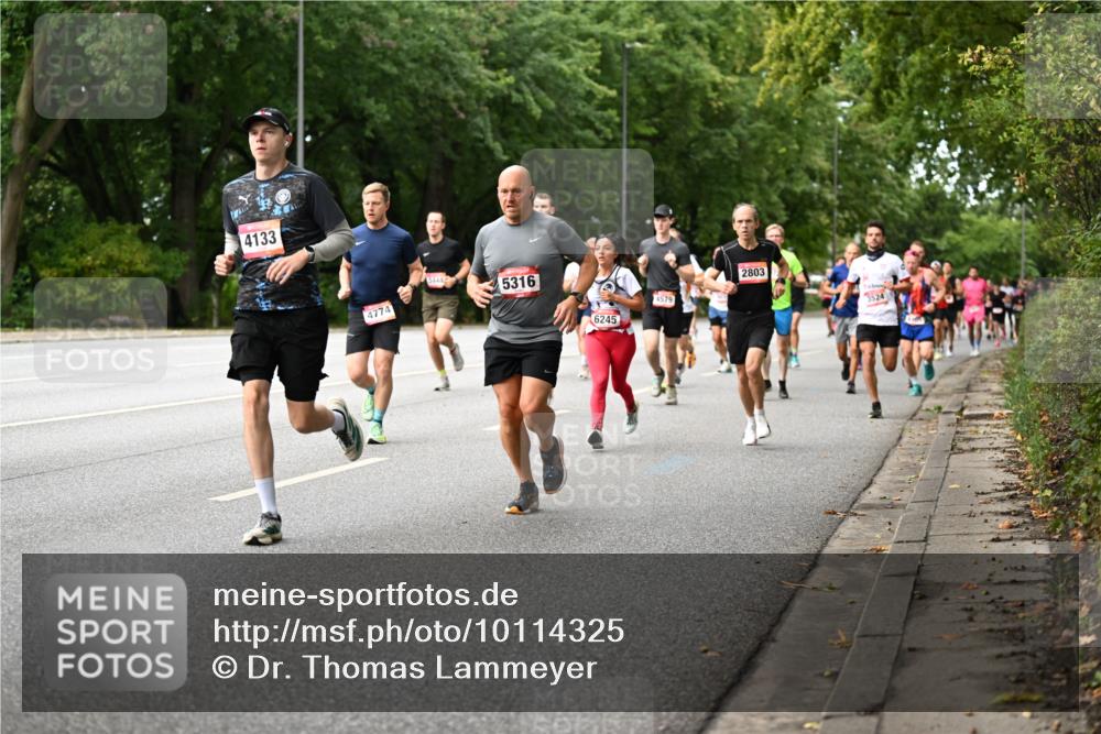 06.09.2026 - CURREX Alsterlauf Dr. Thomas Lammeyer http://msf.ph/oto/10114325 06.09.2026 09:07:23 Laufen 4133, 4774, 3448, 5316, 4579, 6245, 2803, 3524 meine-sportfotos.de