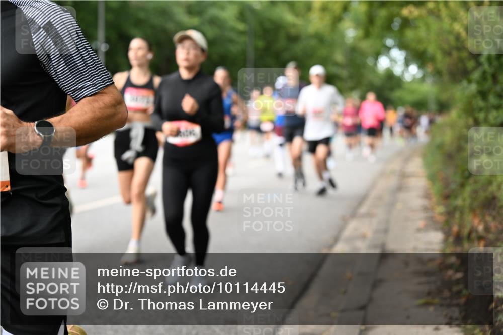 06.09.2026 - CURREX Alsterlauf Dr. Thomas Lammeyer http://msf.ph/oto/10114445 06.09.2026 09:07:43 Laufen  meine-sportfotos.de