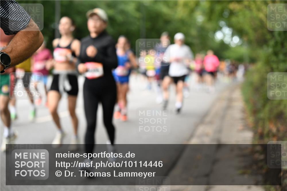 06.09.2026 - CURREX Alsterlauf Dr. Thomas Lammeyer http://msf.ph/oto/10114446 06.09.2026 09:07:43 Laufen  meine-sportfotos.de