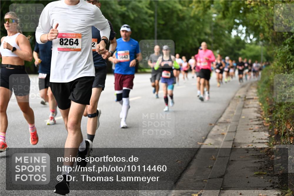 06.09.2026 - CURREX Alsterlauf Dr. Thomas Lammeyer http://msf.ph/oto/10114460 06.09.2026 09:07:45 Laufen 8264, 2 meine-sportfotos.de