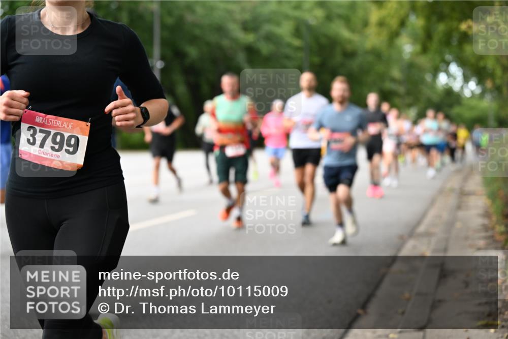 06.09.2026 - CURREX Alsterlauf Dr. Thomas Lammeyer http://msf.ph/oto/10115009 06.09.2026 09:09:14 Laufen 3799 meine-sportfotos.de