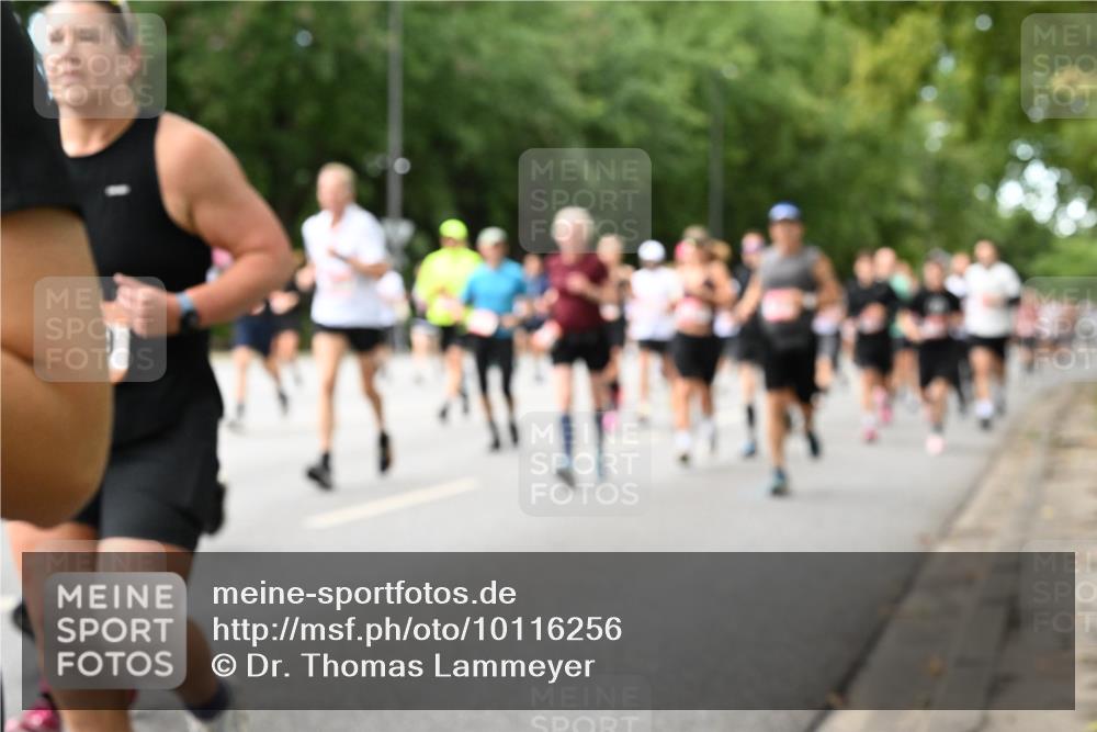 06.09.2026 - CURREX Alsterlauf Dr. Thomas Lammeyer http://msf.ph/oto/10116256 06.09.2026 09:12:37 Laufen  meine-sportfotos.de