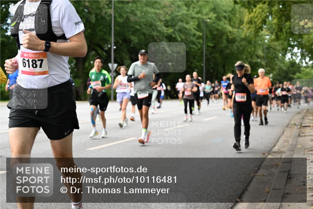 06.09.2026 - CURREX Alsterlauf Dr. Thomas Lammeyer http://msf.ph/oto/10116481 06.09.2026 09:13:06 Laufen 6187, 4, 3585 meine-sportfotos.de