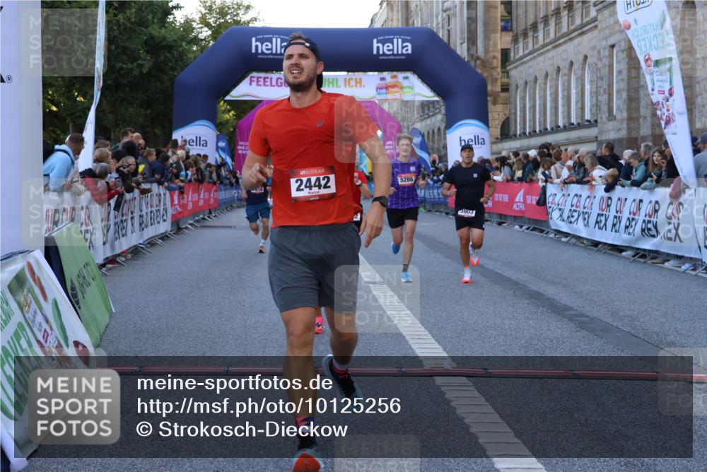 06.09.2026 - CURREX Alsterlauf Strokosch-Dieckow http://msf.ph/oto/10125256 06.09.2026 09:44:48 Ziel 2442, 2452, 2610, 3226, 3445, 3671, 3802, 3803, 4039, 5286, 6201, 8264 meine-sportfotos.de