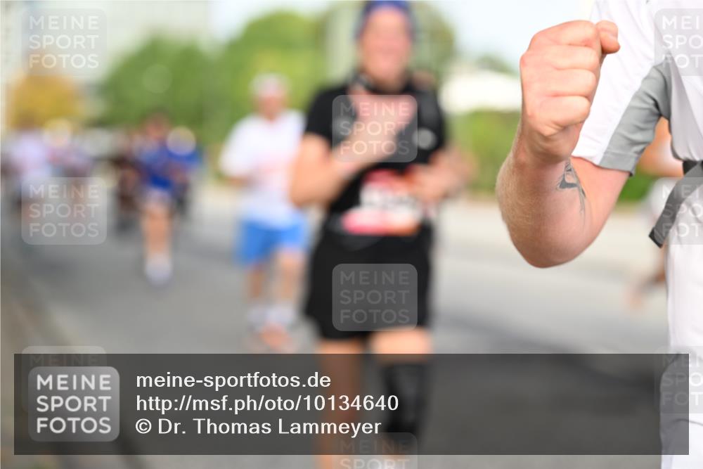 06.09.2026 - CURREX Alsterlauf Dr. Thomas Lammeyer http://msf.ph/oto/10134640 06.09.2026 10:00:05 Laufen  meine-sportfotos.de