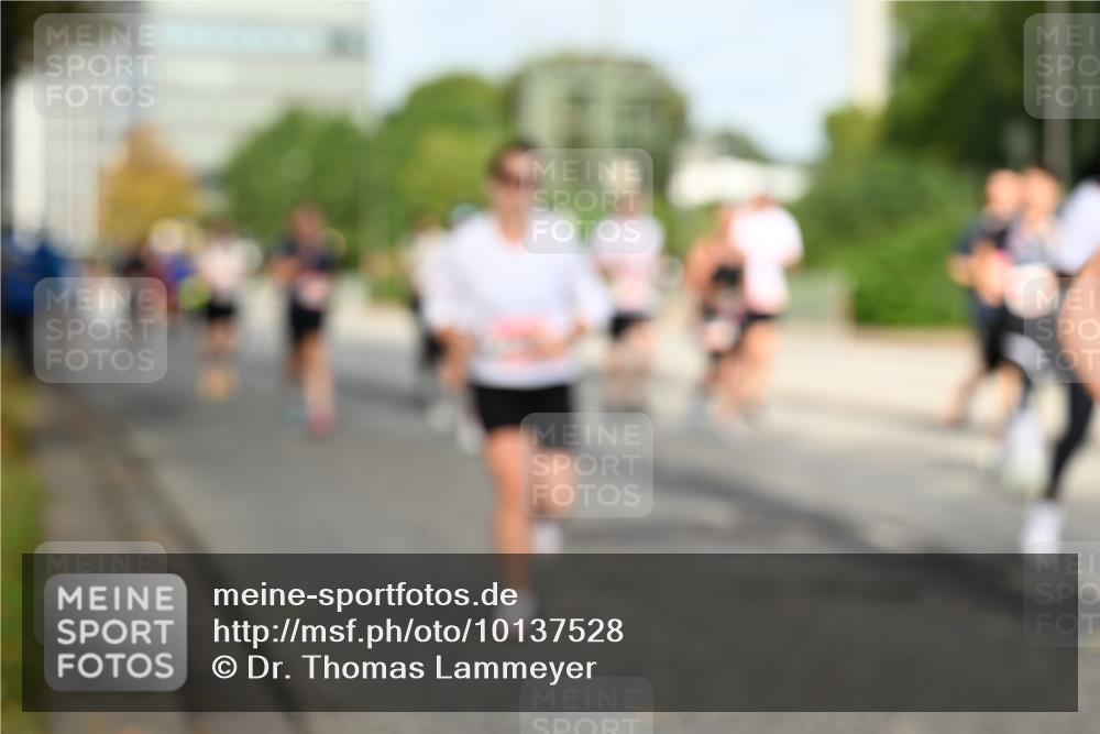 06.09.2026 - CURREX Alsterlauf Dr. Thomas Lammeyer http://msf.ph/oto/10137528 06.09.2026 10:03:13 Laufen  meine-sportfotos.de