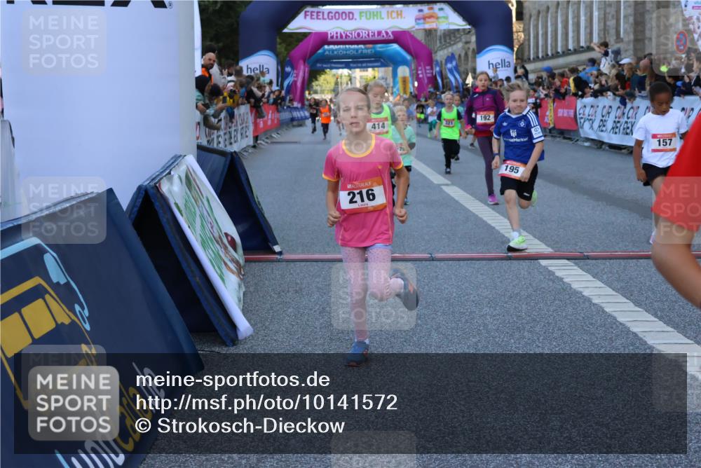 06.09.2026 - CURREX Alsterlauf Strokosch-Dieckow http://msf.ph/oto/10141572 06.09.2026 10:54:02 Ziel 157, 172, 195, 202, 203, 216, 218, 221, 243, 256, 260, 292, 296, 302, 321, 334, 364, 379, 414, 418, 443 meine-sportfotos.de