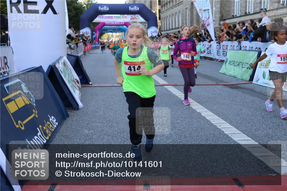 06.09.2026 - CURREX Alsterlauf Strokosch-Dieckow http://msf.ph/oto/10141601 06.09.2026 10:54:05 Ziel 157, 195, 201, 202, 203, 216, 218, 221, 256, 260, 292, 296, 302, 312, 321, 364, 379, 414, 416, 443, 446, 455, 8253 meine-sportfotos.de