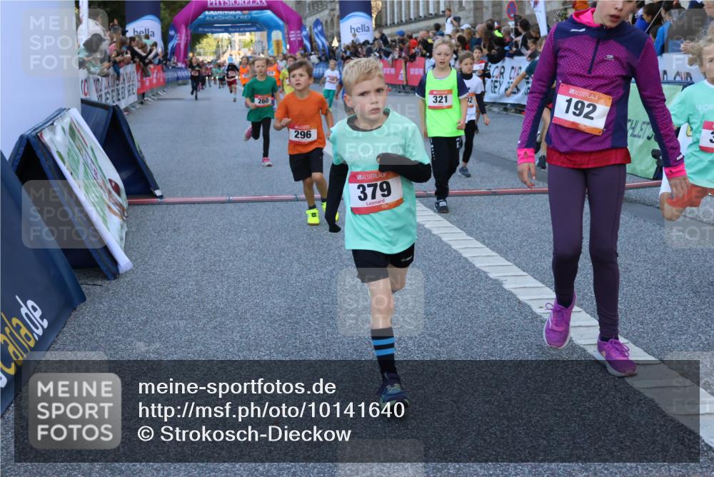 06.09.2026 - CURREX Alsterlauf Strokosch-Dieckow http://msf.ph/oto/10141640 06.09.2026 10:54:06 Ziel 157, 195, 201, 202, 203, 216, 218, 221, 256, 260, 292, 296, 312, 321, 347, 364, 379, 414, 416, 443, 446, 455, 8253 meine-sportfotos.de
