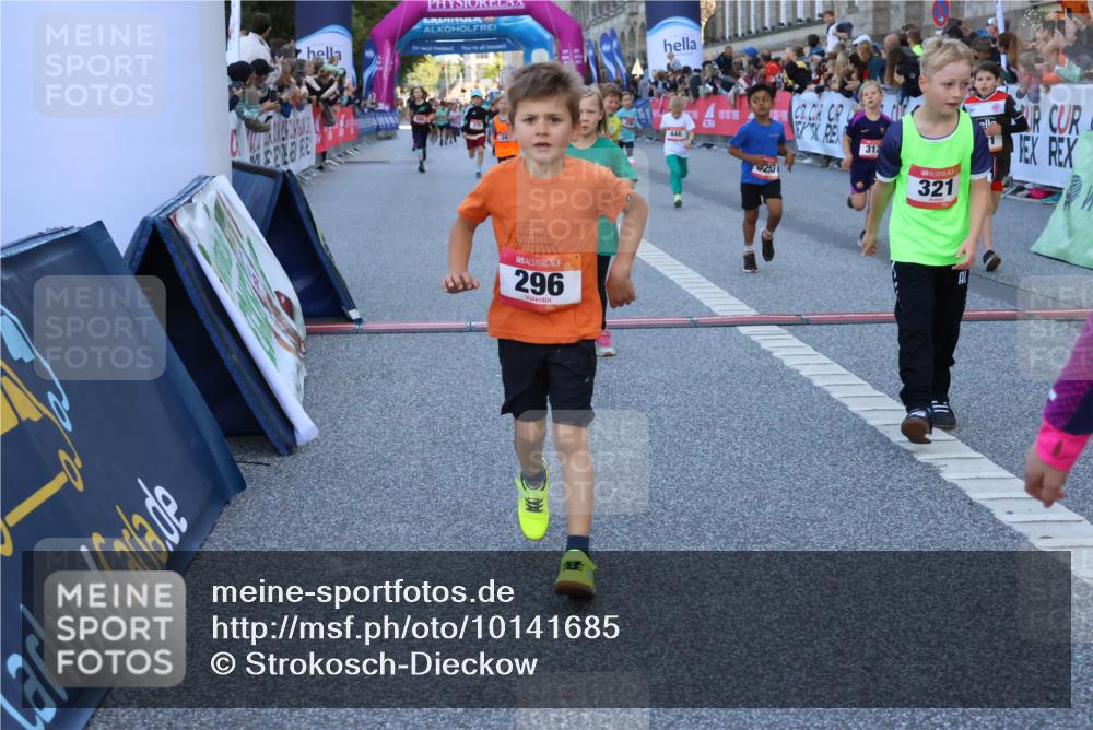 06.09.2026 - CURREX Alsterlauf Strokosch-Dieckow http://msf.ph/oto/10141685 06.09.2026 10:54:07 Ziel 157, 195, 201, 202, 203, 216, 218, 221, 256, 258, 260, 276, 296, 312, 321, 347, 364, 379, 414, 416, 446, 455, 8253 meine-sportfotos.de