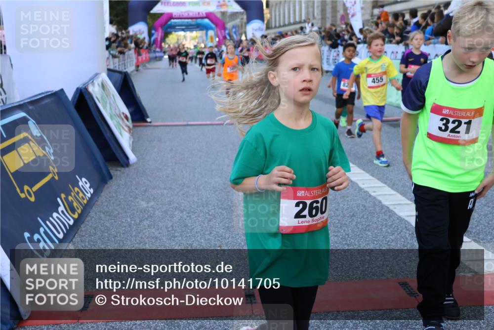06.09.2026 - CURREX Alsterlauf Strokosch-Dieckow http://msf.ph/oto/10141705 06.09.2026 10:54:10 Ziel 157, 195, 201, 202, 206, 256, 258, 260, 276, 283, 296, 300, 312, 321, 347, 364, 379, 414, 416, 446, 455, 8113, 8253 meine-sportfotos.de