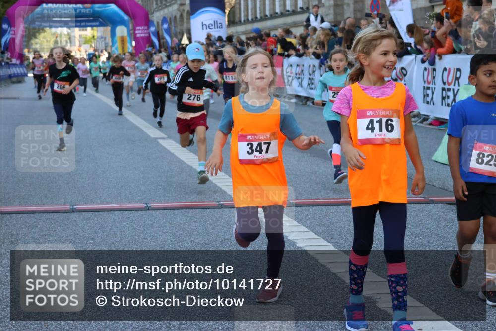06.09.2026 - CURREX Alsterlauf Strokosch-Dieckow http://msf.ph/oto/10141727 06.09.2026 10:54:12 Ziel 201, 202, 206, 256, 258, 260, 270, 276, 283, 296, 300, 312, 321, 347, 364, 416, 417, 436, 440, 446, 449, 455, 8113, 8174, 8253 meine-sportfotos.de