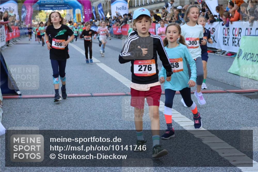 06.09.2026 - CURREX Alsterlauf Strokosch-Dieckow http://msf.ph/oto/10141746 06.09.2026 10:54:14 Ziel 201, 206, 238, 258, 260, 264, 270, 276, 283, 300, 312, 347, 399, 416, 417, 436, 440, 446, 449, 455, 8113, 8174, 8253 meine-sportfotos.de