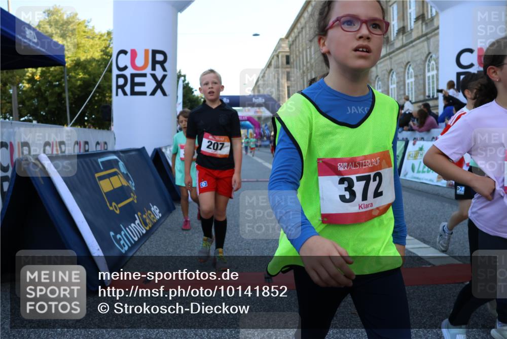 06.09.2026 - CURREX Alsterlauf Strokosch-Dieckow http://msf.ph/oto/10141852 06.09.2026 10:54:29 Ziel 162, 179, 207, 239, 240, 278, 284, 285, 297, 304, 318, 326, 329, 333, 343, 357, 361, 372, 387, 390, 456, 8343 meine-sportfotos.de