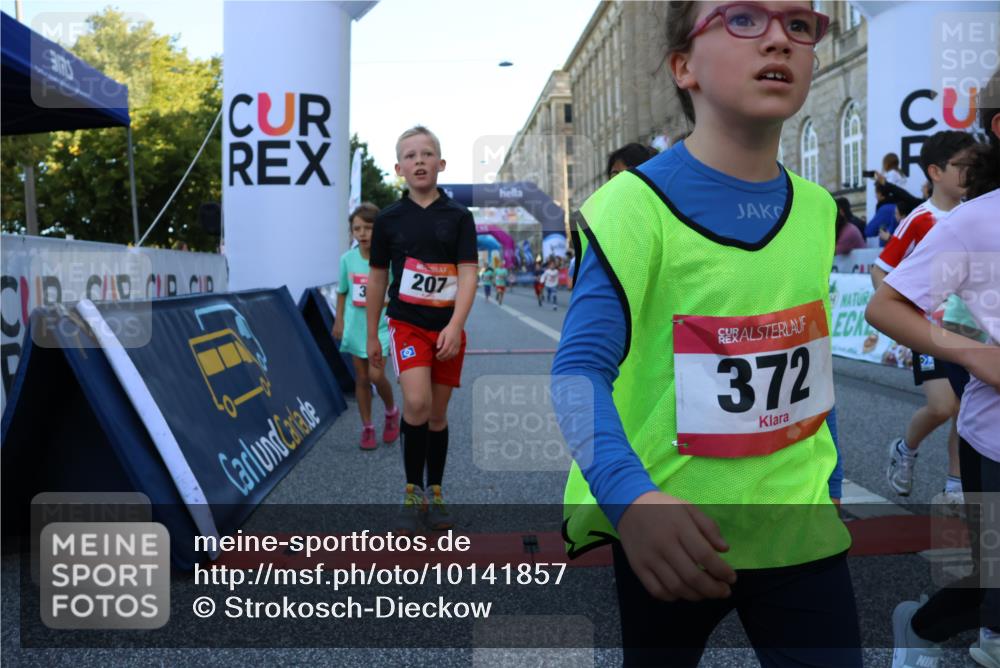 06.09.2026 - CURREX Alsterlauf Strokosch-Dieckow http://msf.ph/oto/10141857 06.09.2026 10:54:29 Ziel 162, 179, 207, 239, 240, 278, 284, 285, 297, 304, 318, 326, 329, 333, 343, 357, 361, 372, 387, 390, 456, 8343 meine-sportfotos.de