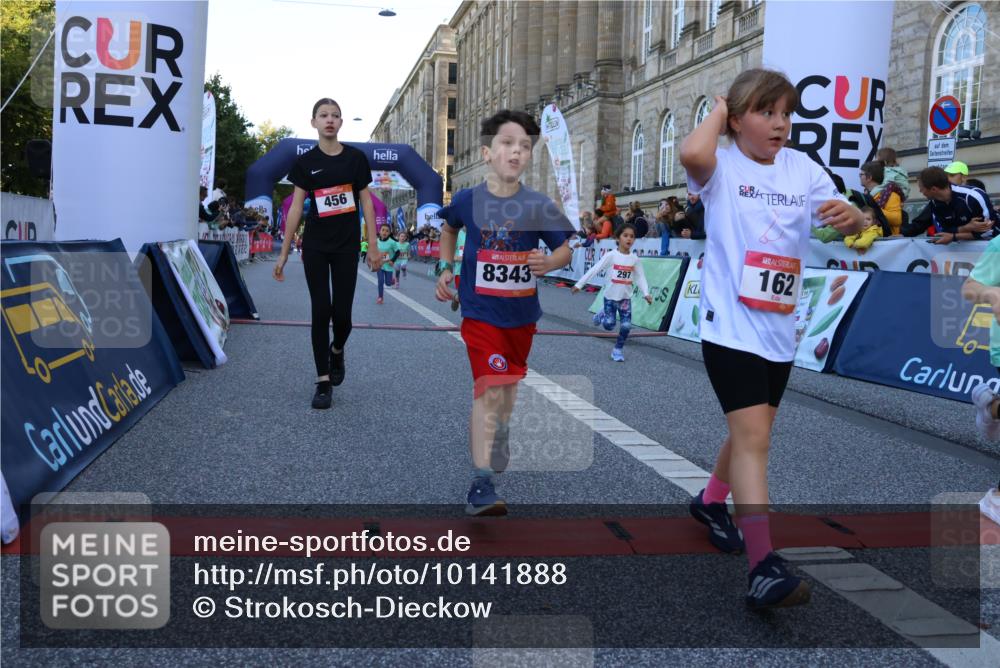 06.09.2026 - CURREX Alsterlauf Strokosch-Dieckow http://msf.ph/oto/10141888 06.09.2026 10:54:33 Ziel 162, 240, 267, 297, 304, 318, 326, 329, 333, 343, 351, 361, 367, 387, 456, 8343 meine-sportfotos.de