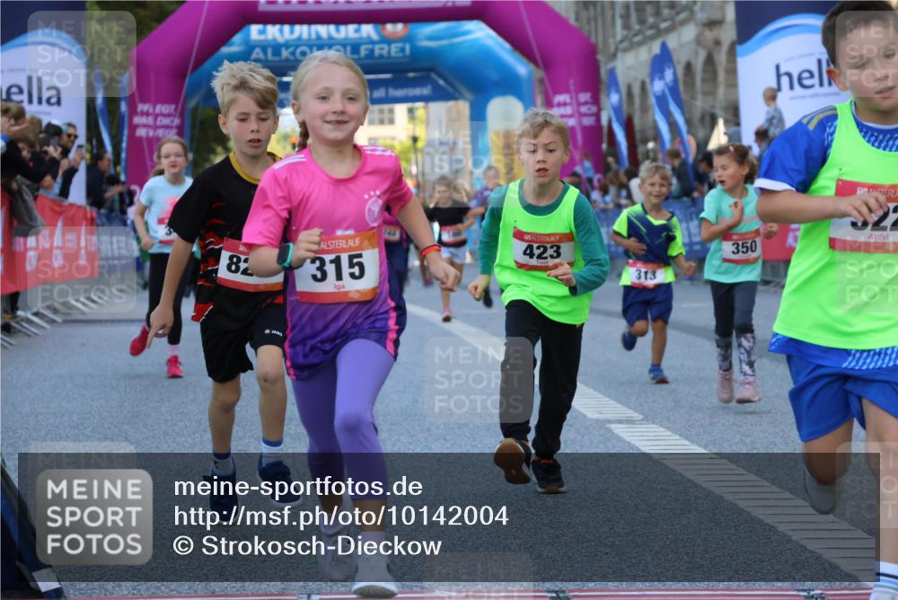 06.09.2026 - CURREX Alsterlauf Strokosch-Dieckow http://msf.ph/oto/10142004 06.09.2026 10:54:51 Ziel 229, 234, 313, 315, 322, 345, 348, 350, 382, 398, 423, 8287 meine-sportfotos.de