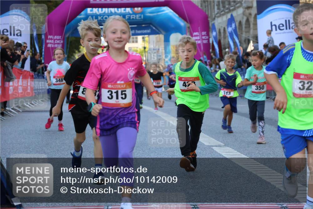 06.09.2026 - CURREX Alsterlauf Strokosch-Dieckow http://msf.ph/oto/10142009 06.09.2026 10:54:51 Ziel 229, 234, 313, 315, 322, 345, 348, 350, 382, 398, 423, 8287 meine-sportfotos.de