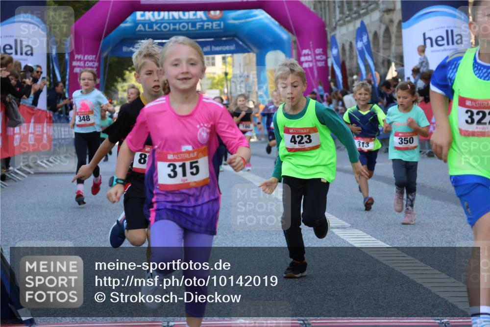 06.09.2026 - CURREX Alsterlauf Strokosch-Dieckow http://msf.ph/oto/10142019 06.09.2026 10:54:51 Ziel 229, 234, 313, 315, 322, 345, 348, 350, 382, 398, 423, 8287 meine-sportfotos.de