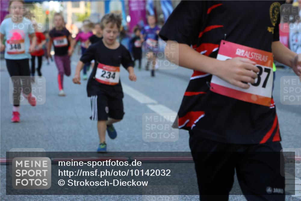 06.09.2026 - CURREX Alsterlauf Strokosch-Dieckow http://msf.ph/oto/10142032 06.09.2026 10:54:54 Ziel 160, 196, 234, 290, 313, 315, 322, 345, 348, 350, 398, 423, 8287 meine-sportfotos.de