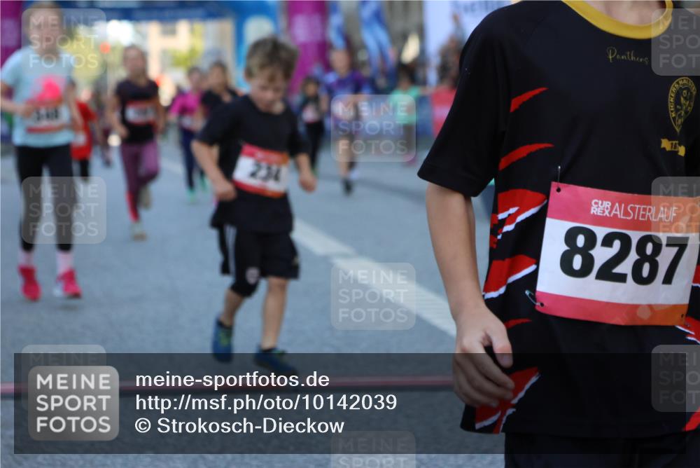 06.09.2026 - CURREX Alsterlauf Strokosch-Dieckow http://msf.ph/oto/10142039 06.09.2026 10:54:54 Ziel 160, 196, 234, 290, 313, 315, 322, 345, 348, 350, 398, 423, 8287 meine-sportfotos.de