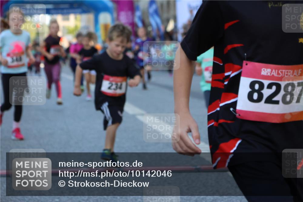 06.09.2026 - CURREX Alsterlauf Strokosch-Dieckow http://msf.ph/oto/10142046 06.09.2026 10:54:54 Ziel 160, 196, 234, 290, 313, 315, 322, 345, 348, 350, 398, 423, 8287 meine-sportfotos.de