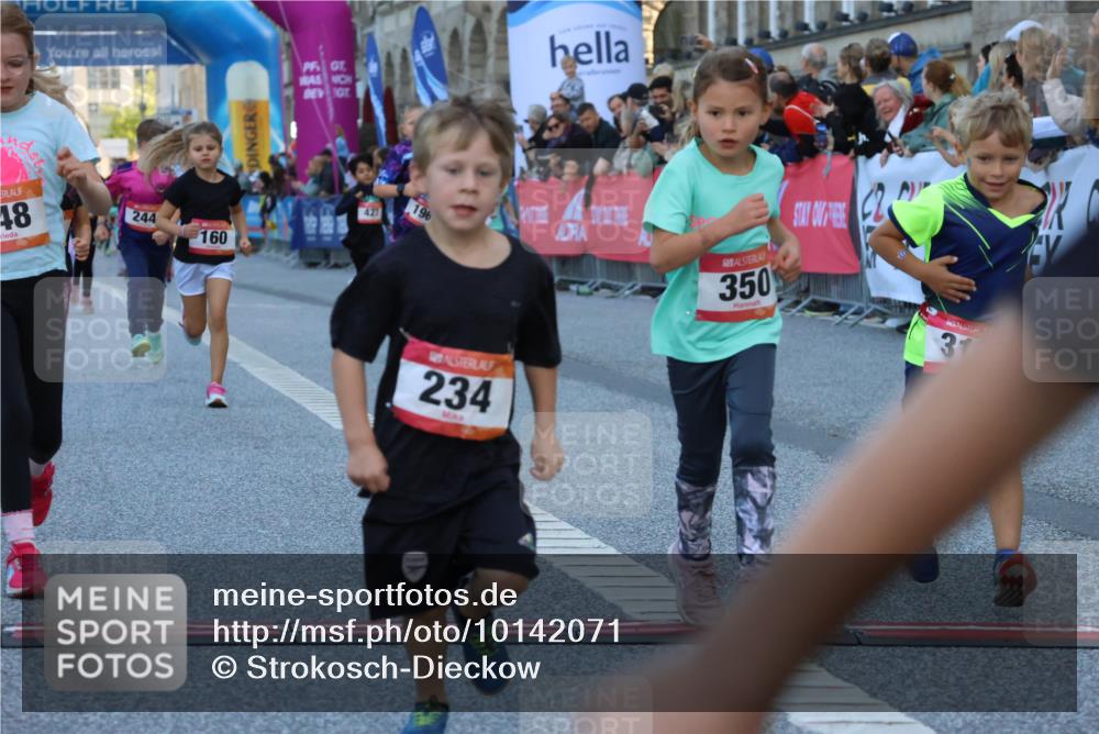 06.09.2026 - CURREX Alsterlauf Strokosch-Dieckow http://msf.ph/oto/10142071 06.09.2026 10:54:55 Ziel 160, 196, 234, 244, 287, 290, 313, 315, 322, 348, 350, 398, 423, 8287 meine-sportfotos.de