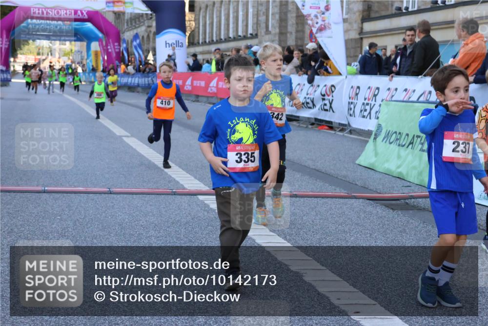 06.09.2026 - CURREX Alsterlauf Strokosch-Dieckow http://msf.ph/oto/10142173 06.09.2026 10:55:44 Ziel 237, 248, 295, 305, 335, 342, 344, 410, 8169 meine-sportfotos.de