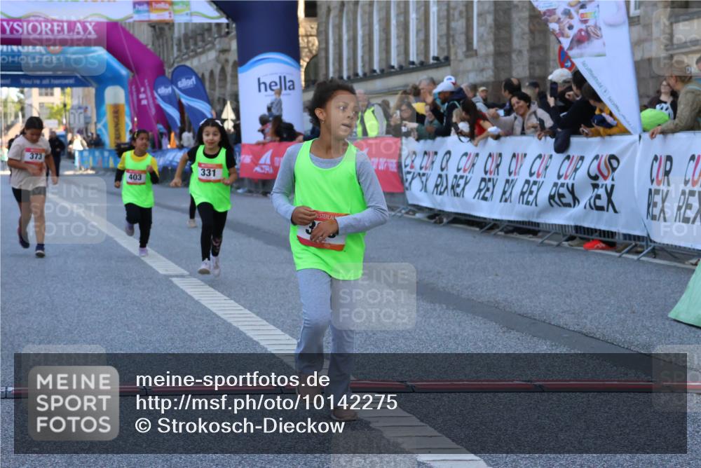 06.09.2026 - CURREX Alsterlauf Strokosch-Dieckow http://msf.ph/oto/10142275 06.09.2026 10:55:55 Ziel 245, 331, 366, 373, 395, 403 meine-sportfotos.de