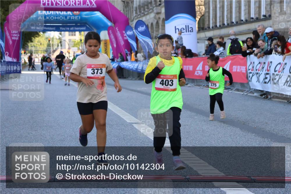 06.09.2026 - CURREX Alsterlauf Strokosch-Dieckow http://msf.ph/oto/10142304 06.09.2026 10:55:59 Ziel 245, 331, 373, 375, 395, 403 meine-sportfotos.de