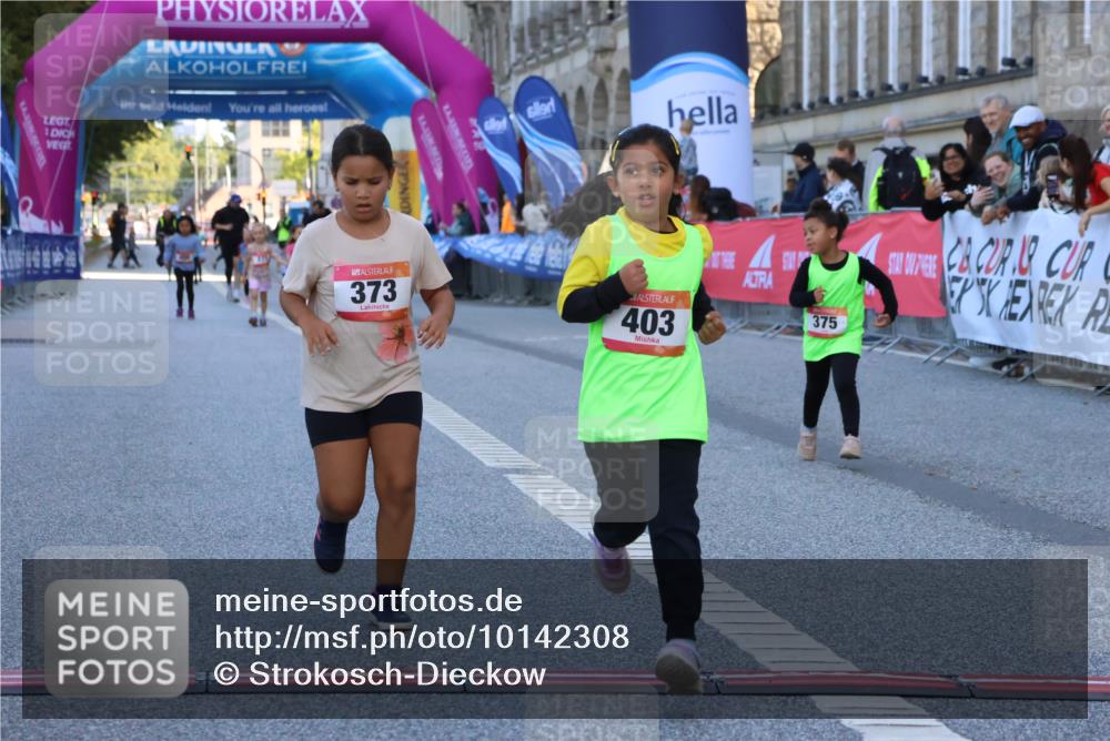 06.09.2026 - CURREX Alsterlauf Strokosch-Dieckow http://msf.ph/oto/10142308 06.09.2026 10:55:59 Ziel 245, 331, 373, 375, 395, 403 meine-sportfotos.de