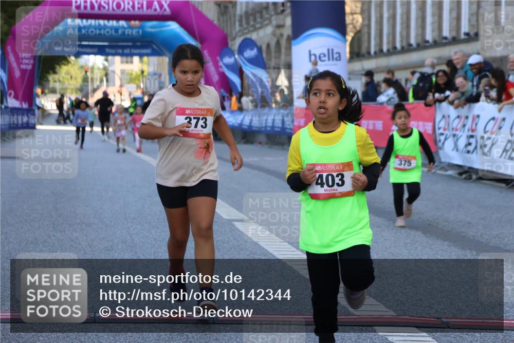 06.09.2026 - CURREX Alsterlauf Strokosch-Dieckow http://msf.ph/oto/10142344 06.09.2026 10:56:00 Ziel 245, 331, 373, 375, 395, 403 meine-sportfotos.de