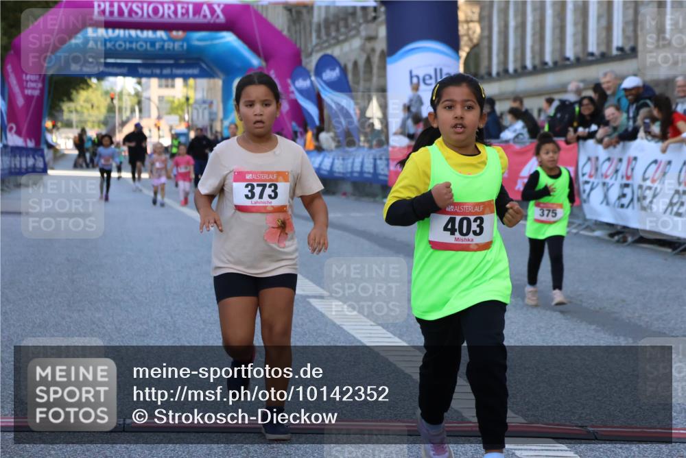 06.09.2026 - CURREX Alsterlauf Strokosch-Dieckow http://msf.ph/oto/10142352 06.09.2026 10:56:00 Ziel 245, 331, 373, 375, 395, 403 meine-sportfotos.de