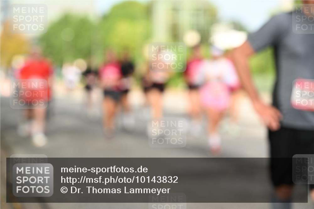 06.09.2026 - CURREX Alsterlauf Dr. Thomas Lammeyer http://msf.ph/oto/10143832 06.09.2026 10:14:58 Laufen  meine-sportfotos.de