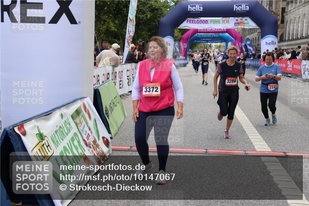 06.09.2026 - CURREX Alsterlauf Strokosch-Dieckow http://msf.ph/oto/10147067 06.09.2026 10:22:51 Ziel 2243, 2751, 2774, 3288, 3372, 5289, 6489, 8074, 8119 meine-sportfotos.de