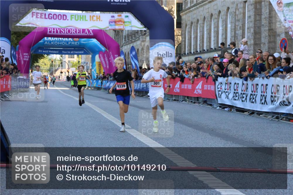 06.09.2026 - CURREX Alsterlauf Strokosch-Dieckow http://msf.ph/oto/10149210 06.09.2026 10:52:15 Ziel 252, 301, 8339 meine-sportfotos.de
