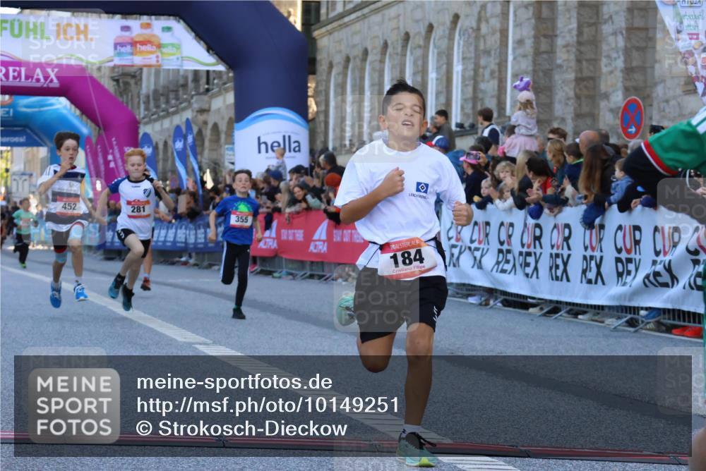06.09.2026 - CURREX Alsterlauf Strokosch-Dieckow http://msf.ph/oto/10149251 06.09.2026 10:52:44 Ziel 161, 182, 184, 268, 281, 307, 355, 408, 409, 452 meine-sportfotos.de