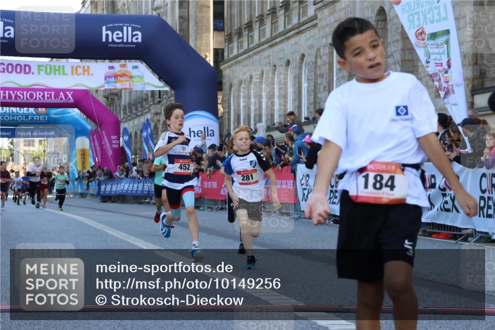 06.09.2026 - CURREX Alsterlauf Strokosch-Dieckow http://msf.ph/oto/10149256 06.09.2026 10:52:45 Ziel 161, 182, 184, 268, 281, 293, 355, 408, 409, 452 meine-sportfotos.de