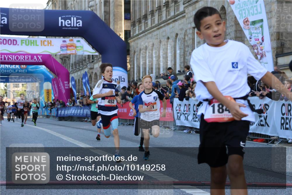 06.09.2026 - CURREX Alsterlauf Strokosch-Dieckow http://msf.ph/oto/10149258 06.09.2026 10:52:45 Ziel 161, 182, 184, 268, 281, 293, 355, 408, 409, 452 meine-sportfotos.de